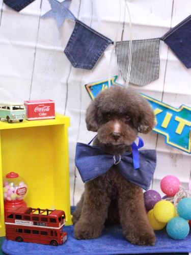 20230406きょうのちゃん